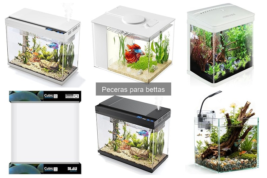 Comparativa de Filtros para Peceras de Bettas: Mejores Opciones