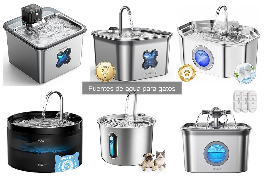 Comparativa de fuentes de agua para gatos: eléctricas vs. manuales