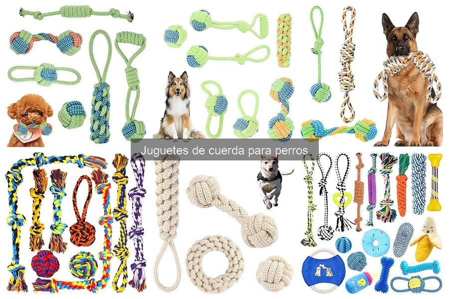 Comparativa de Juguetes de Cuerda y Otros para Perros