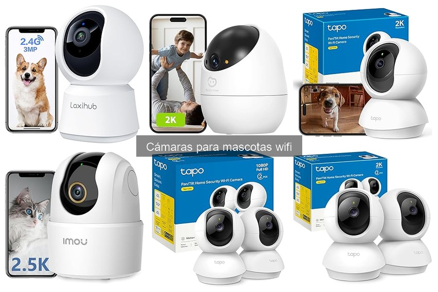 Comparativa de las Mejores Cámaras Wifi para Mascotas