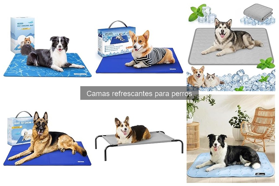 ** Comparativa de las Mejores Camas Refrescantes para Perros 2023