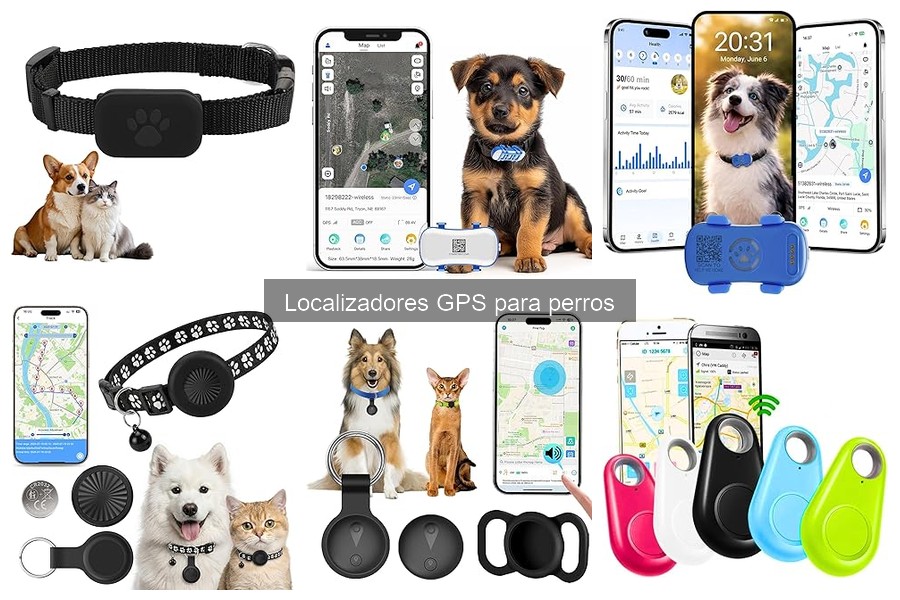 Comparativa de Localizadores GPS para Perros: ¿Cuál Elegir?