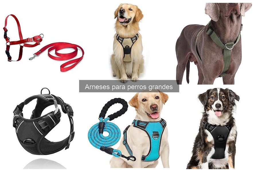 Comparativa de los Mejores Arnés para Perros Grandes