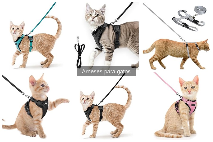Comparativa de los Mejores Arneses para Gatos en 2023