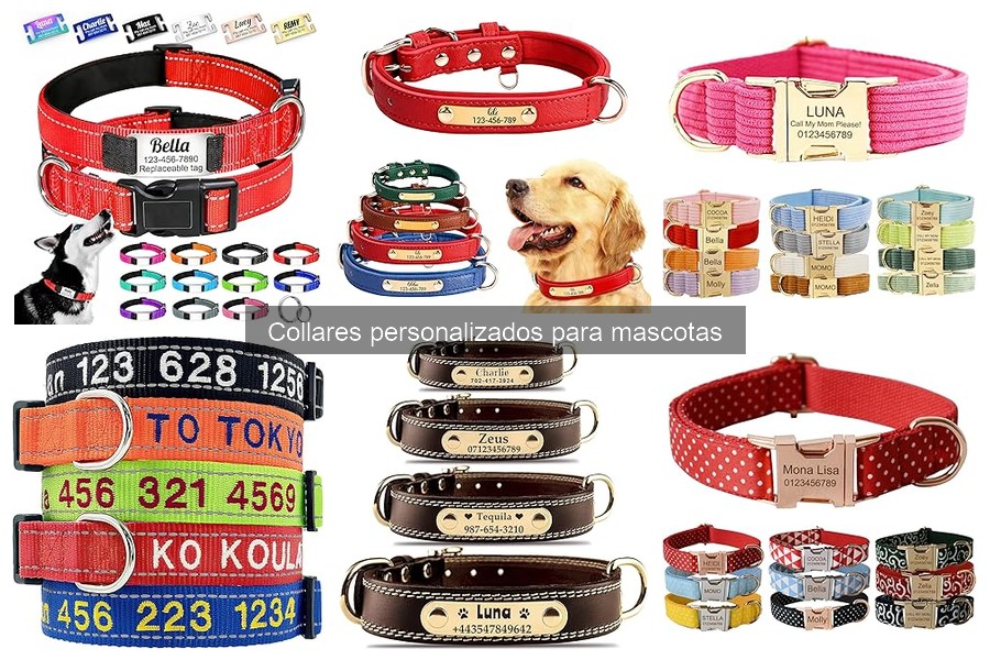 Comparativa de los mejores collares personalizados para mascotas
