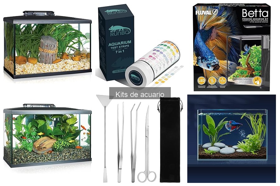 Comparativa de los Mejores Kits de Acuario en 2023