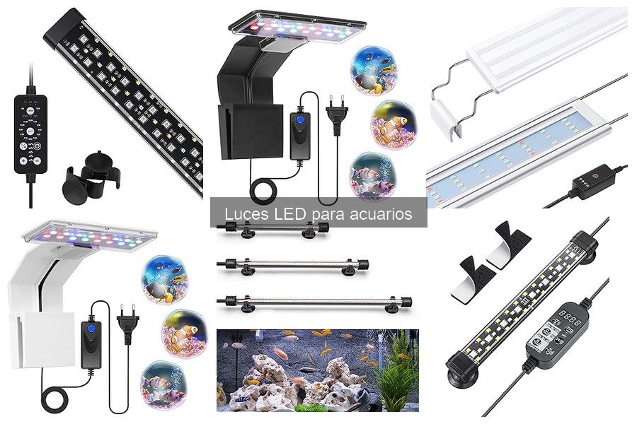Comparativa de Luces LED para Acuarios: Mejores Marcas 2023