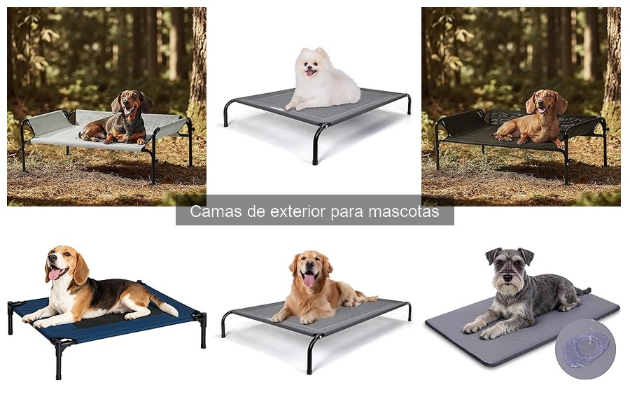 Comparativa de Materiales en Camas de Exterior para Mascotas