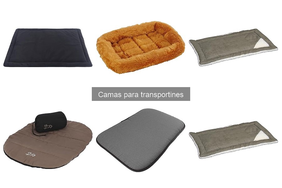 Comparativa de materiales para camas de transportines