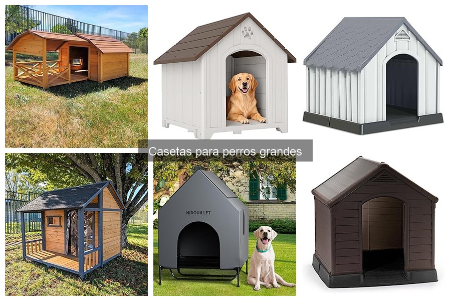 Comparativa de materiales para casetas de perros grandes