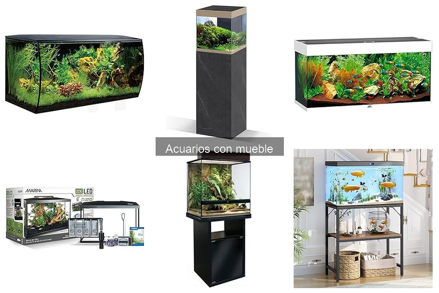 Comparativa de Mejores Acuarios con Mueble en 2023