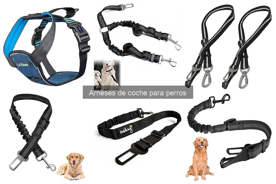 Comparativa de Mejores Arnés de Coche para Perros 2023