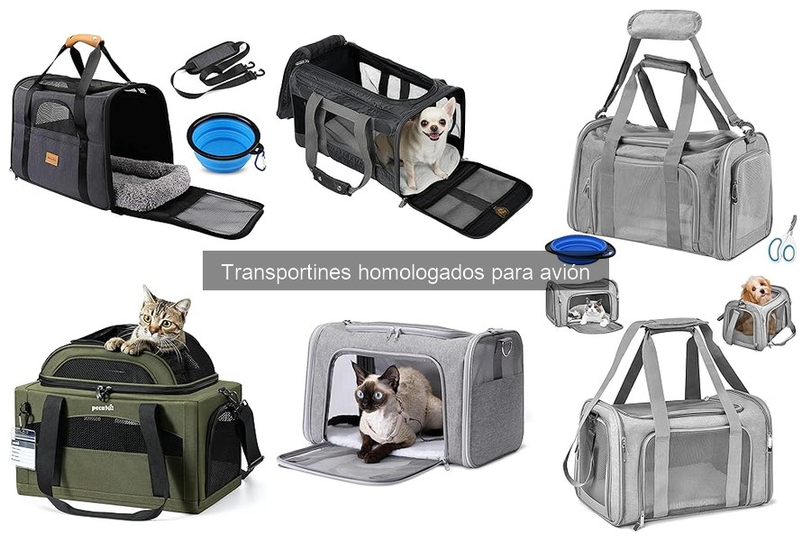Comparativa de Mejores Transportines Homologados para Avión