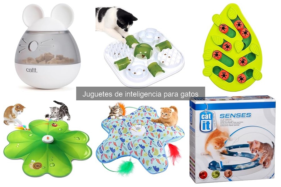 Comparativa de precios de juguetes de inteligencia para gatos