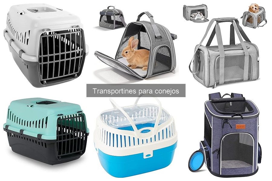 Comparativa de precios: Transportines para conejos
