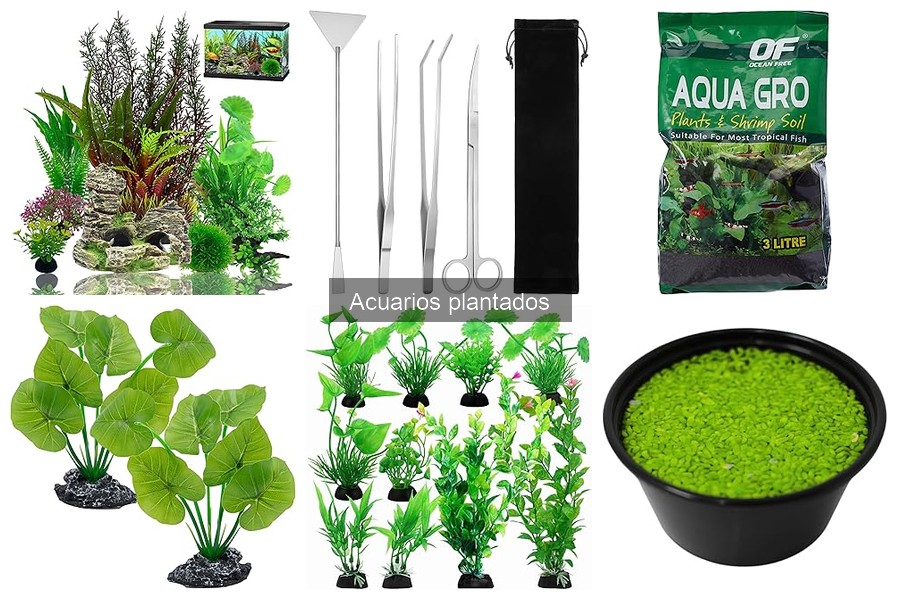 Comparativa de Sustratos para Acuarios Plantados