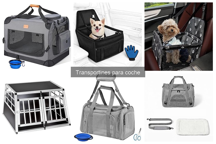 Comparativa de transportines para coche: ¡Elige el mejor!