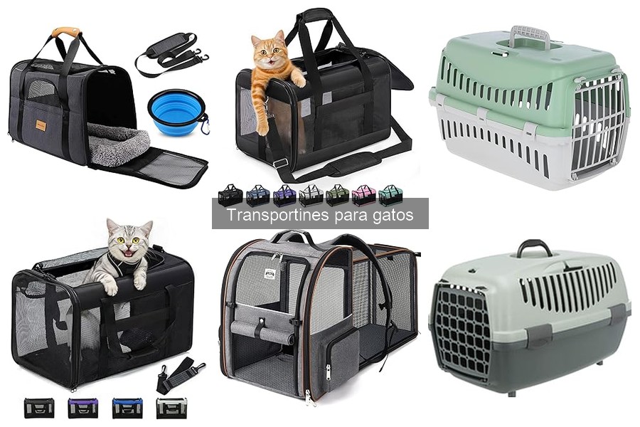 Comparativa de Transportines para Gatos: Marcas y Precios