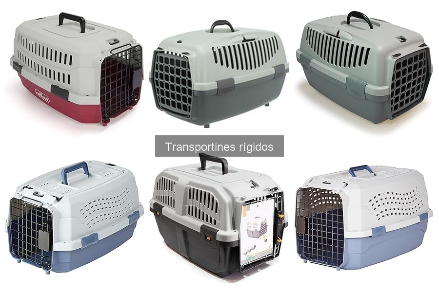 Comparativa de Transportines Rígidos: BPS, Trixie y Amazon Basics