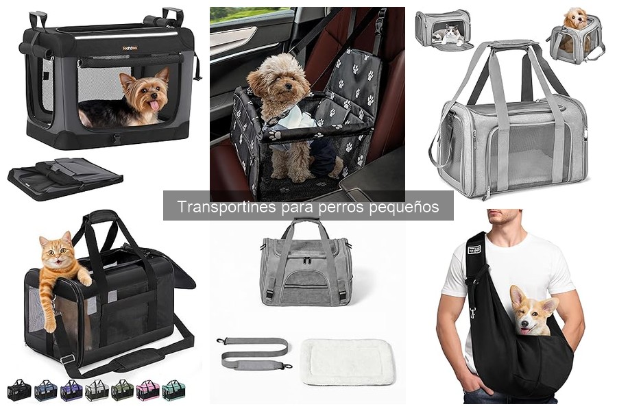 Comparativa de transportines rígidos y blandos para perros pequeños