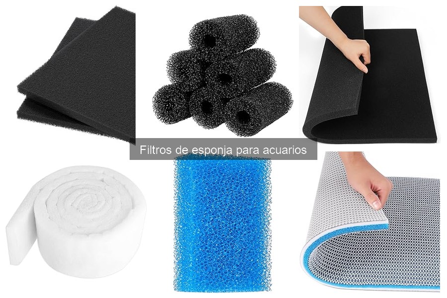 Comparativa: Filtros de esponja vs. filtros de cartucho para acuarios
