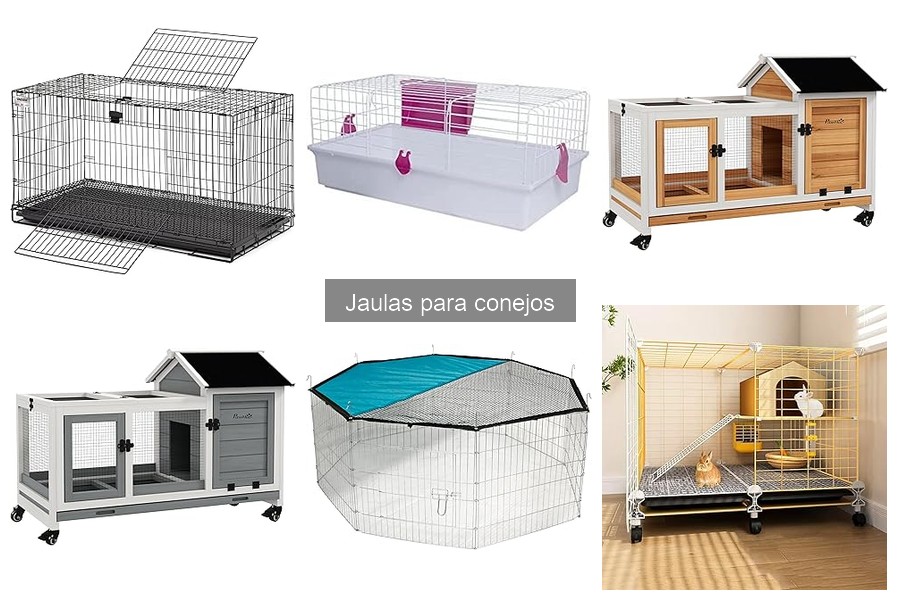 Comparativa: Jaulas de Plástico vs Metal para Conejos