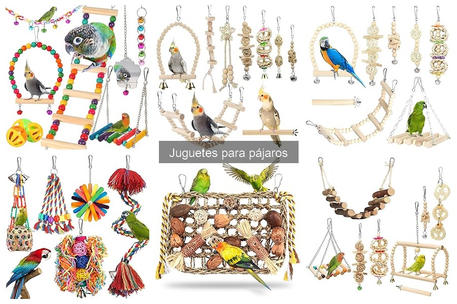Comparativa: Juguetes de Madera vs Plástico para Pájaros