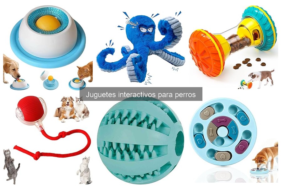 Comparativa: Juguetes Interactivos vs Tradicionales para Perros