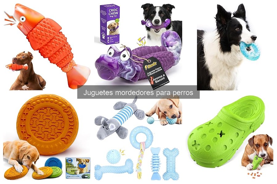 Comparativa: Juguetes Mordedores de Goma vs Cuerda para Perros