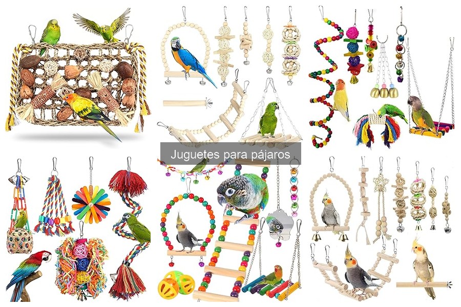 Comparativa: Juguetes para aves grandes y pequeñas
