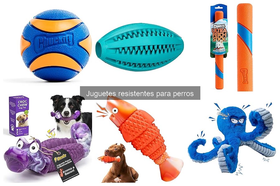 Comparativa: Juguetes resistentes vs. tradicionales para perros