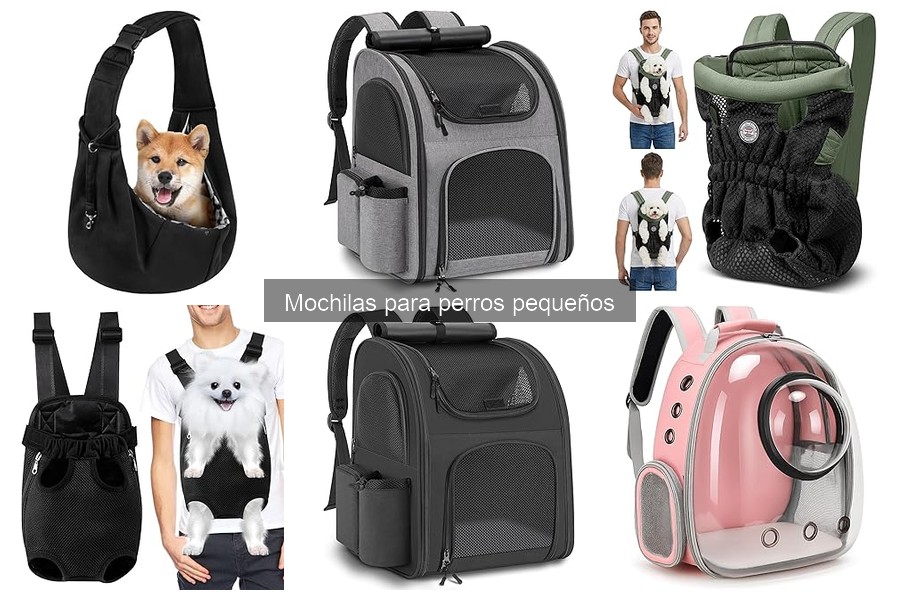 Comparativa: Mochilas para perros pequeños vs. transportadoras