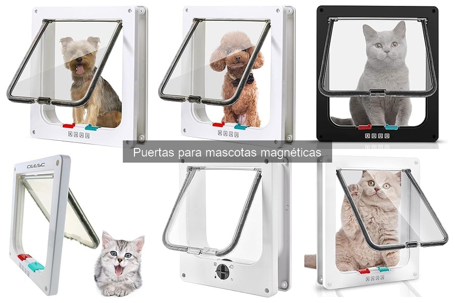 Comparativa: Puertas Magnéticas vs. Automáticas para Mascotas