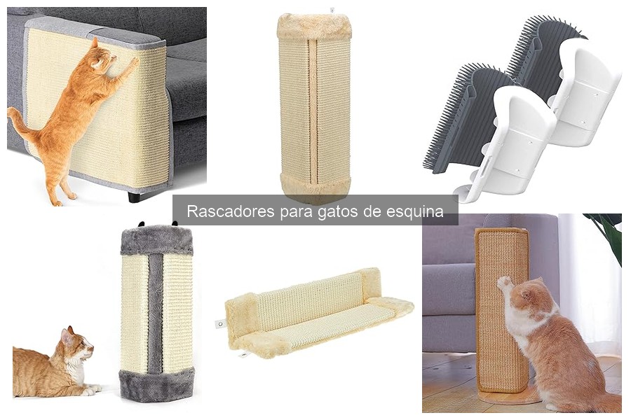 Comparativa: Rascadores de esquina vs. rascadores de pared