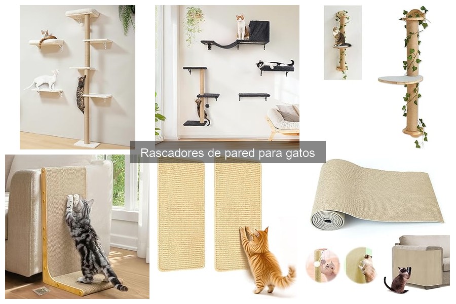 Comparativa: Rascadores de Pared vs. Rascadores de Suelo