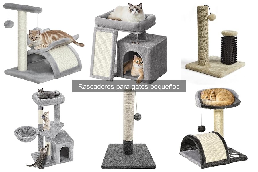 Comparativa Rascadores Verticales vs Horizontales para Gatos