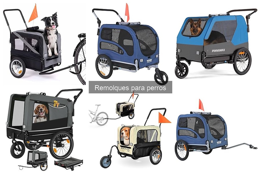 Comparativa: Remolques vs Transportadoras para Perros