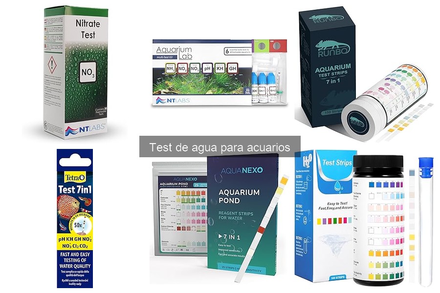 Comparativa: Test de Agua Digitales vs. Tiras para Acuarios