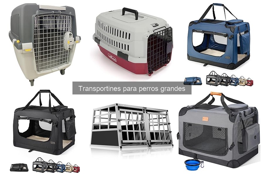 Comparativa: Transportines Blandos vs. Duros para Perros Grandes