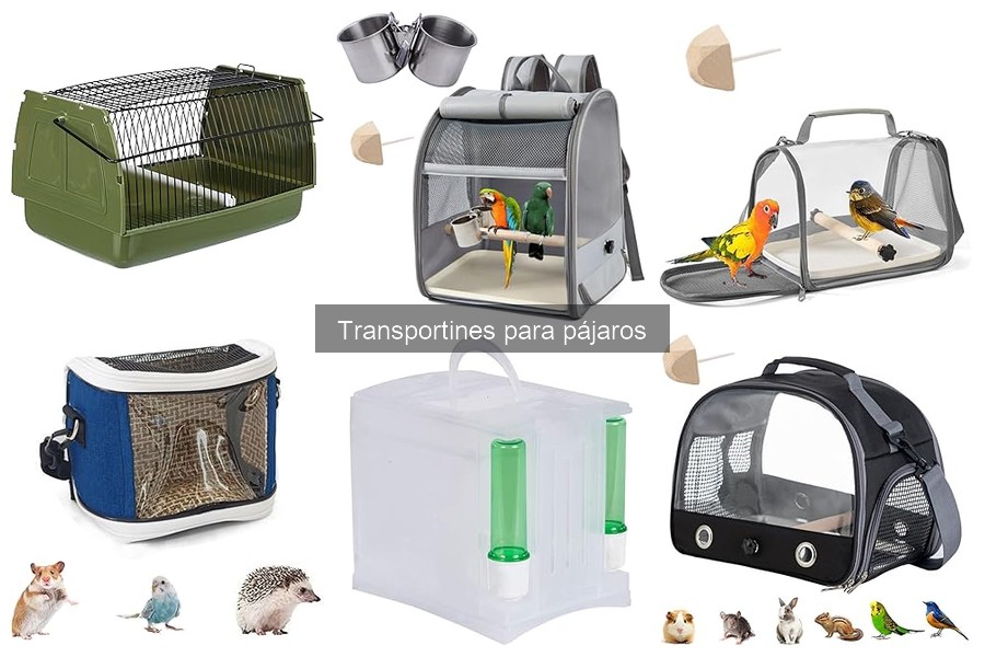 Comparativa: Transportines Rígidos vs. Blandos para Pájaros