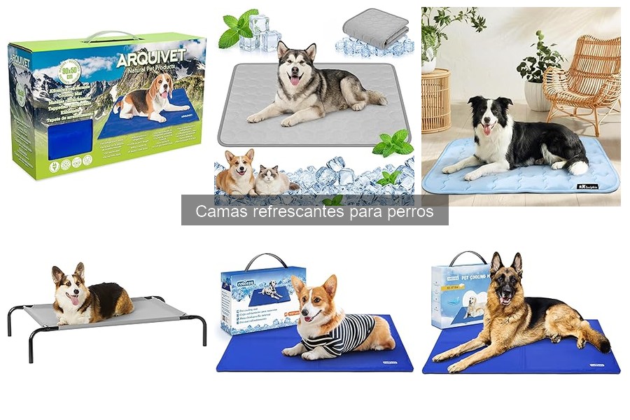 Comprar camas refrescantes para perros al mejor precio
