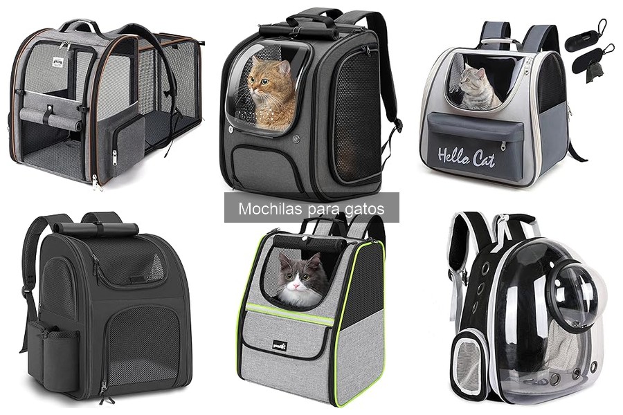 Conoce los Tipos de Mochilas para Gatos: Guía Completa