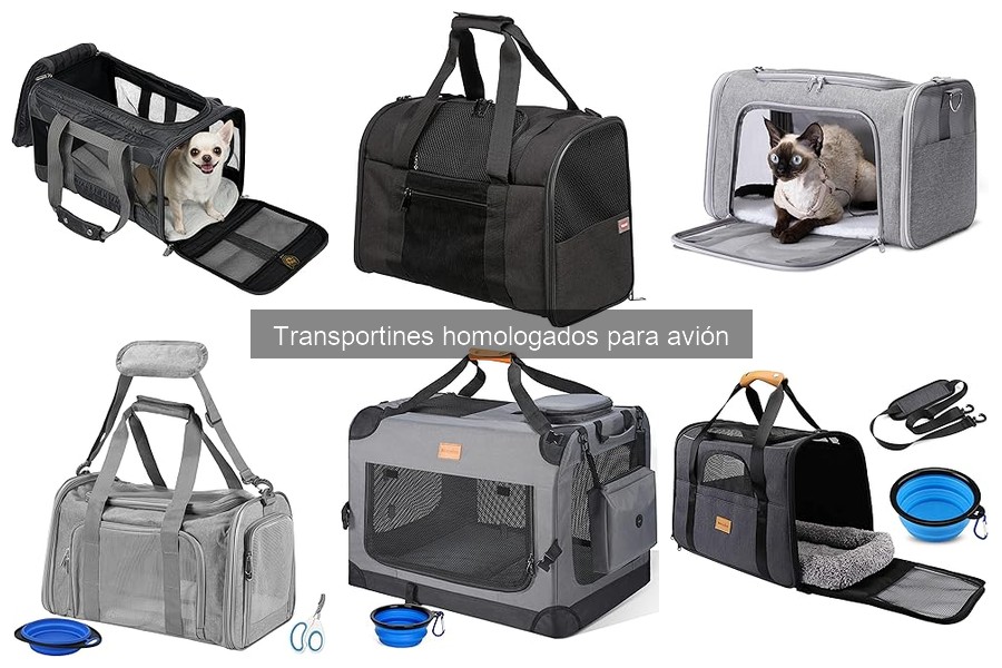 Consejos para el Check-in de Mascotas en Aerolíneas