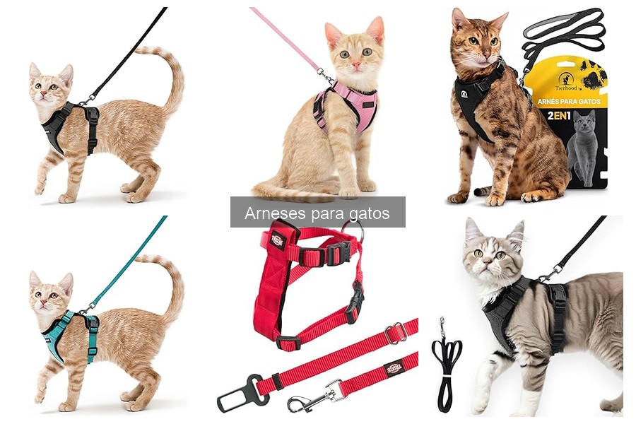 Consejos para el Mantenimiento de Arnés para Gatos
