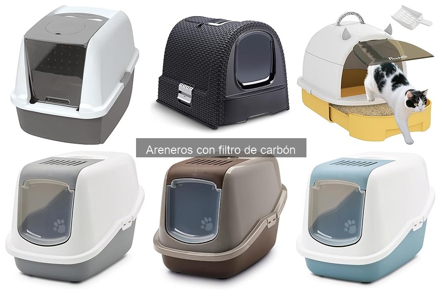 Consejos para Elegir un Arenero con Filtro de Carbón