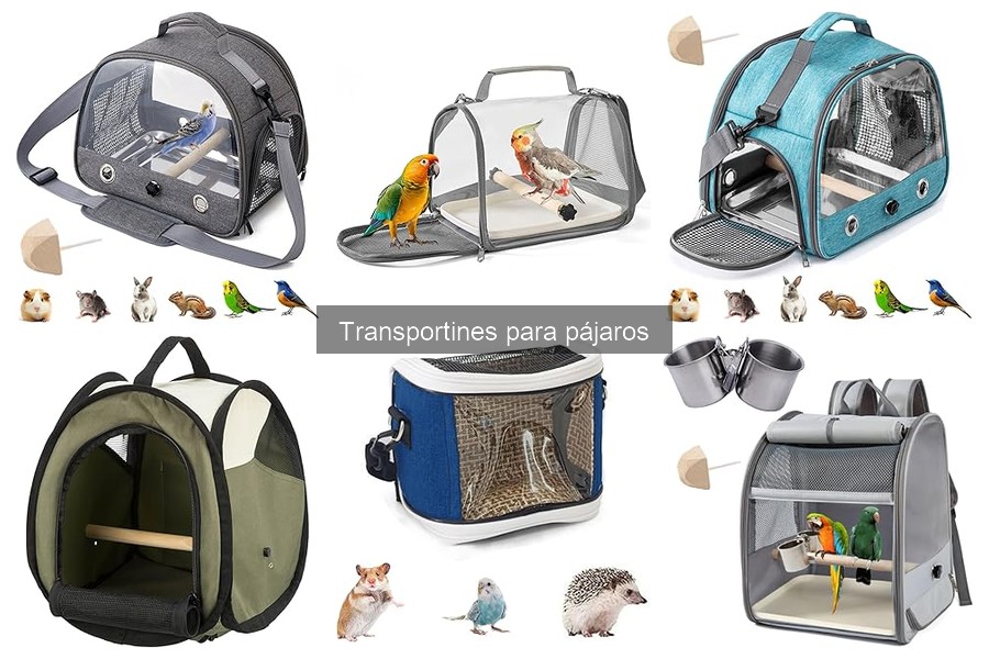 Consejos para habituar a tu ave al transportín fácilmente