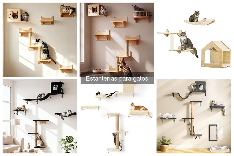 Consejos para Instalar Estanterías para Gatos Efectivamente