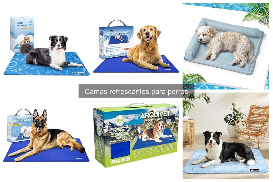 Consejos para Limpiar Camas Refrescantes para Perros