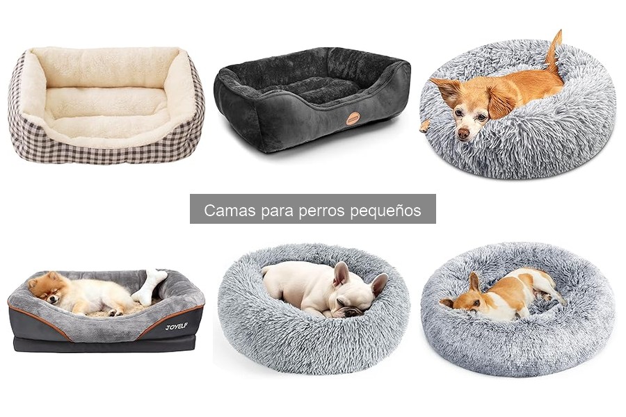 Consejos para mantener limpia la cama de un perro pequeño