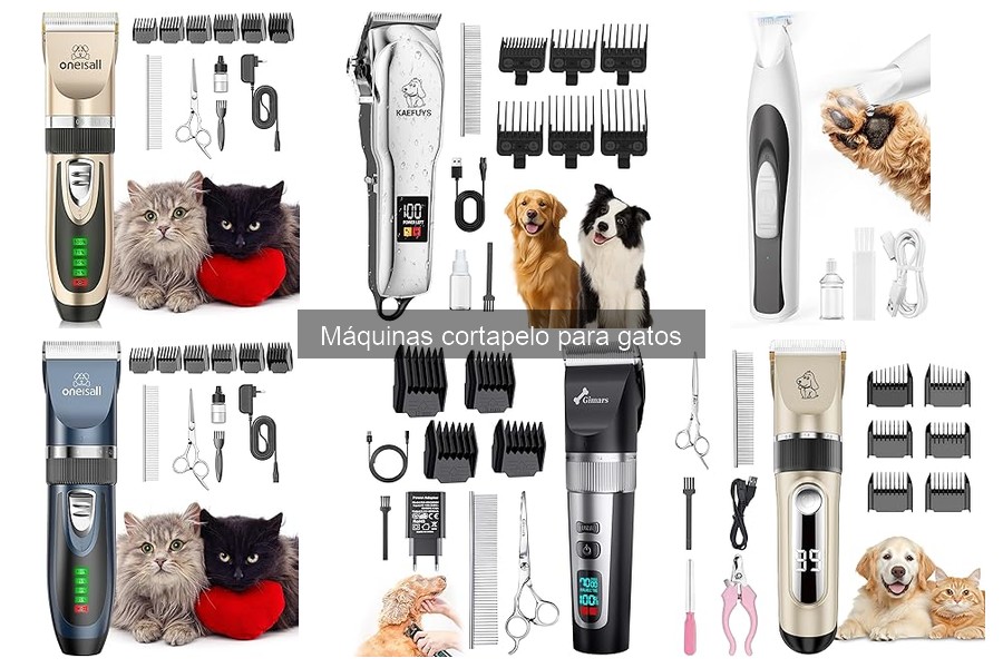 Consejos para Mantener Tu Máquina Cortapelo para Gatos